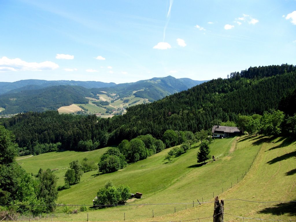 Landschaft mit Hügeln und Wäldern
